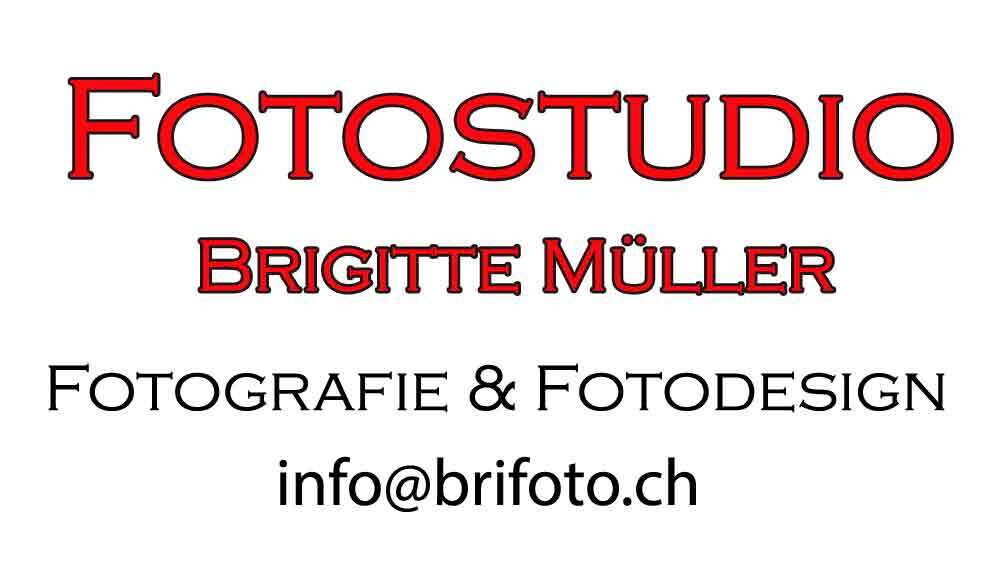 Logo Brifoto